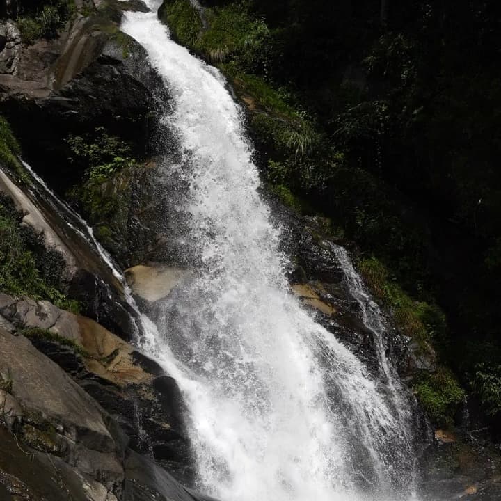 It is a long established fact that a reader will be distracted by the readable content of a page when looking at its layout. The point of using Lorem Ipsum is that it has a more-or-less normal distribution of letters, as opposed to using 'Content here, content here', making it look like readable English. Many desktop publishing packages and web page editors now use Lorem Ipsum as their default model text, and a search for 'lorem ipsum' will uncover many web sites still in their infancy. Various versions have evolved over the years, sometimes by accident, sometimes on purpose (injected humour and the like).
Video by Kensei I from Pexels: https://www.pexels.com/video/mikaeri-no-taki-27645391/