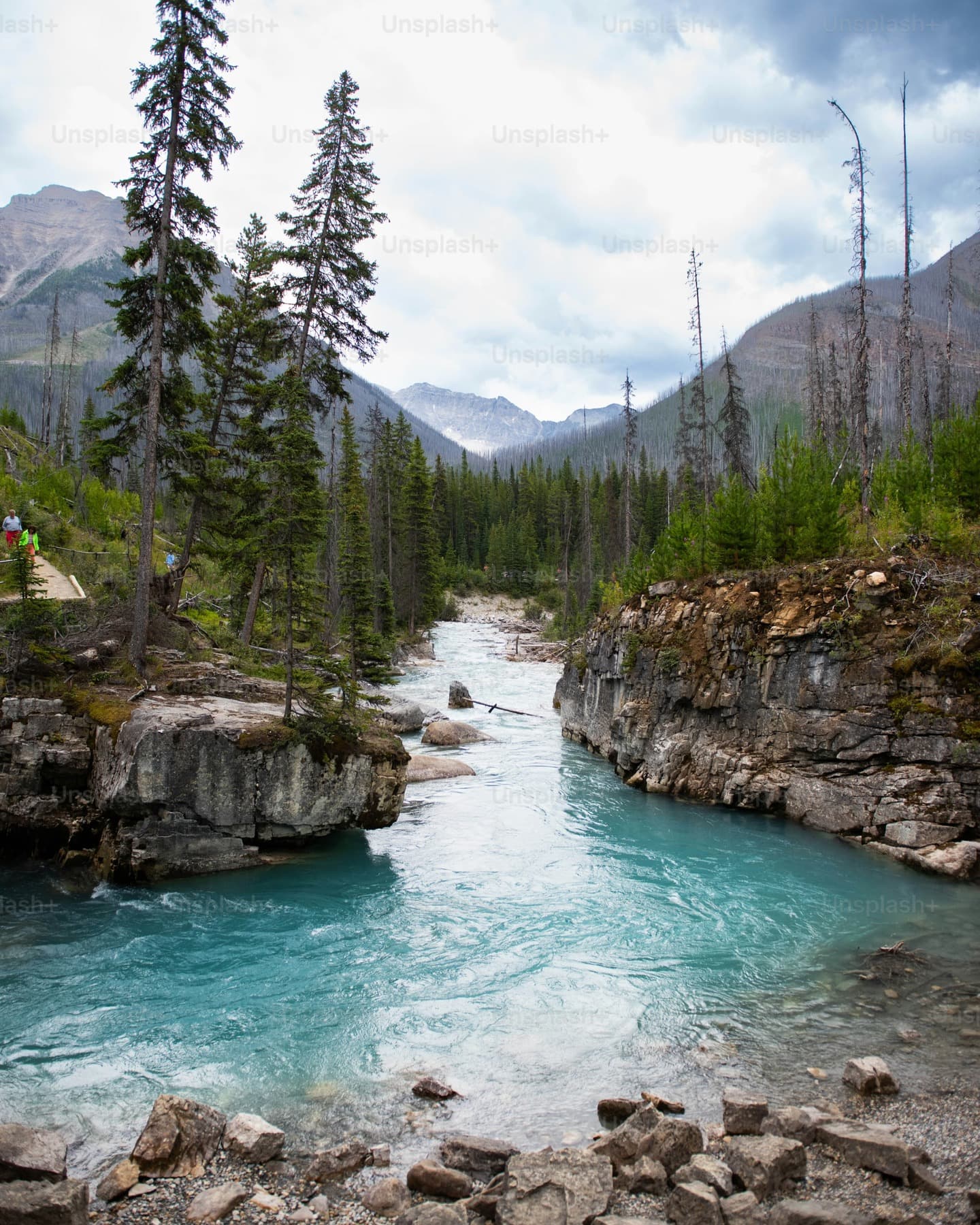 Aliquam test pulvinar, #color quis hendrerit sagittis, nisl arcu volutpat purus, at pharetra ex neque tristique risus. Morbi id tellus scelerisque, pulvinar augue ac, semper quam. Nunc ultrices urna viverra ipsum tincidunt auctor. Praesent nisi risus, dictum cursus bibendum sit amet, varius ac arcu. Etiam sollicitudin orci in tellus dictum, nec auctor nunc tristique. Ut suscipit nunc quis lectus ultricies congue. In posuere luctus ex. Quisque eu feugiat orci, non tristique erat. Quisque sed ultricies odio, ac ultrices purus. Duis tristique lacus id pellentesque elementum. Donec dui eros, bibendum semper ultricies id, feugiat non magna. Vivamus feugiat consectetur turpis, eu viverra nibh ornare vitae. Duis leo erat, auctor eu libero eu, hendrerit molestie libero. Nunc venenatis porttitor orci id accumsan. Ut vehicula erat porta, mattis nisl laoreet, dapibus metus. Cras vel felis in ligula mattis laoreet ac id erat.
source: https://unsplash.com/photos/a-river-with-rocks-and-trees-9sLzwQl48yM